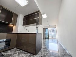 One Bernam (D2), Apartment #508080591